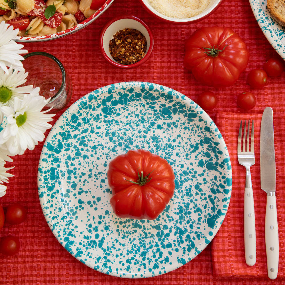 Dan Pelosi Coupe Dinner Plate, Set of 2, Splatter – Crow Canyon Home
